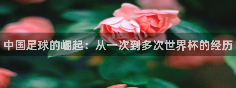 世俱杯直播：中国足球的崛起：从一次到多次世界杯的经历