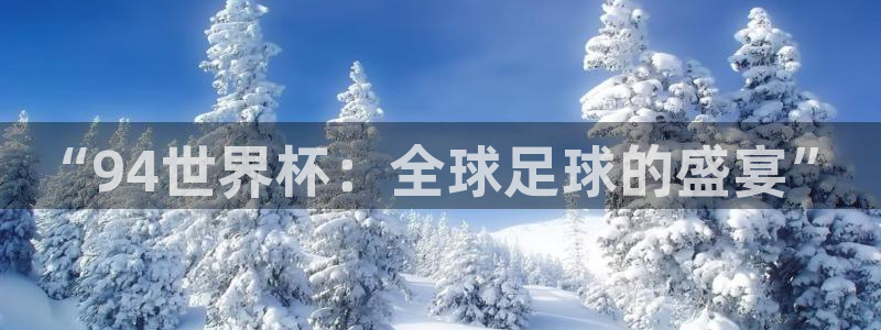 世界杯预选赛亚洲：“94世界杯：全球足球的盛宴”