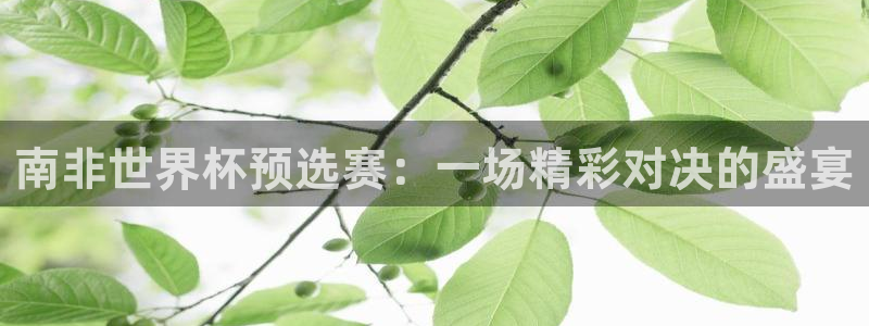 2026 世界杯：南非世界杯预选赛：一场精彩对决的盛宴