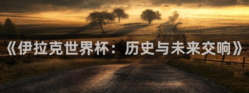 2026年世界杯赛程：《伊拉克世界杯：历史与未来交响》