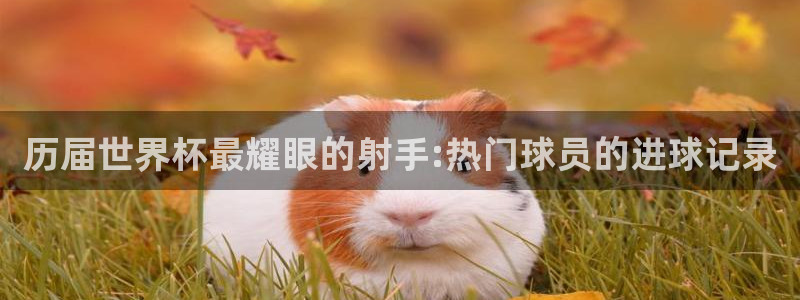世界杯女足直播：历届世界杯最耀眼的射手:热门球员的进球记录