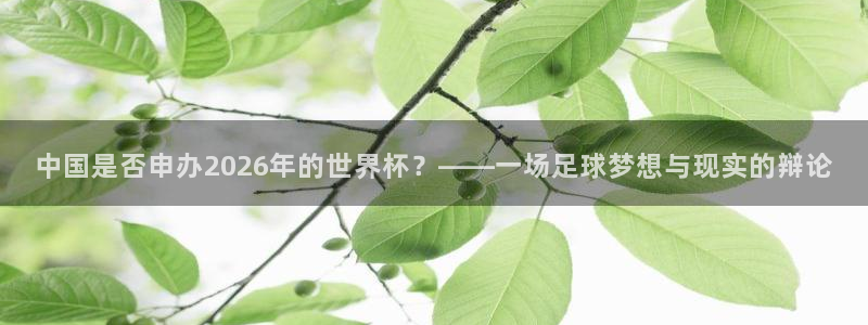2026世界杯赛制：中国是否申办2026年的世界杯？——一场足球梦想与现实的辩论