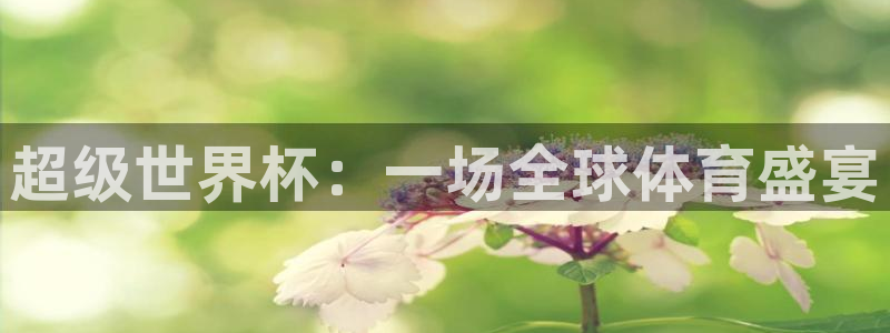 英格兰联赛杯直播：超级世界杯：一场全球体育盛宴