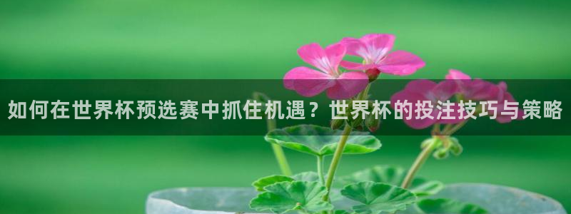 2026世界杯直播：如何在世界杯预选赛中抓住机遇？世界杯的投注技巧与策略