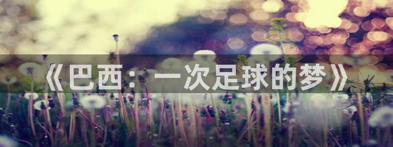 世界杯直播：《巴西：一次足球的梦》