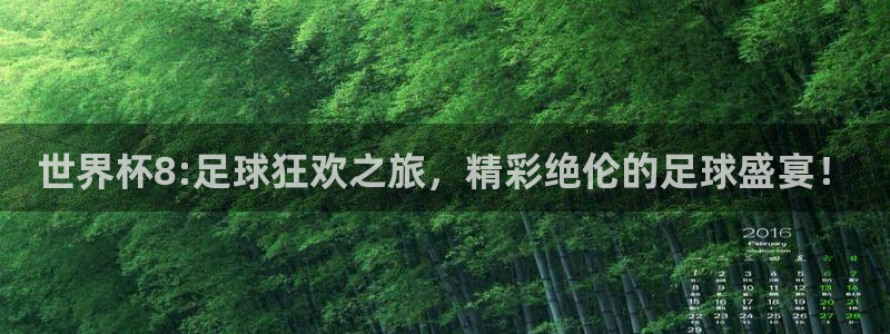 世预赛赛程表：世界杯8:足球狂欢之旅，精彩绝伦的足球盛宴！