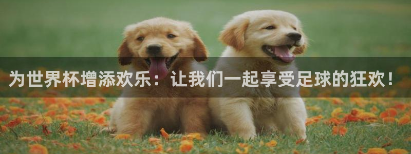 2026年世界杯直播平台:为世界杯增添欢乐:让我们一起享受足球的狂欢!