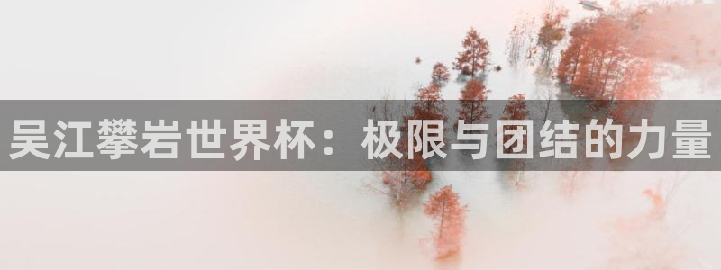 足球世界杯预选赛：吴江攀岩世界杯：极限与团结的力量