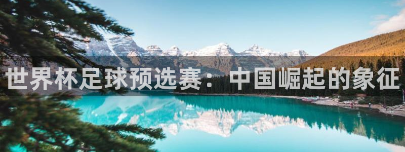 世界杯预选赛：世界杯足球预选赛：中国崛起的象征