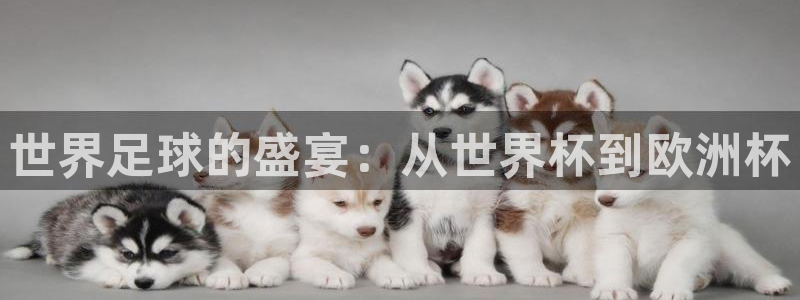 世界杯足球2026：世界足球的盛宴：从世界杯到欧洲杯