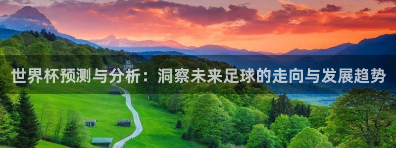 2026足球世界杯：世界杯预测与分析：洞察未来足球的走向与发展趋势